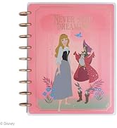 Happy Planner Disney Disc-Bound 12-Month Planner, Jan-Dec 2025 Daily, Weekly, Monthly Planner, Cl...