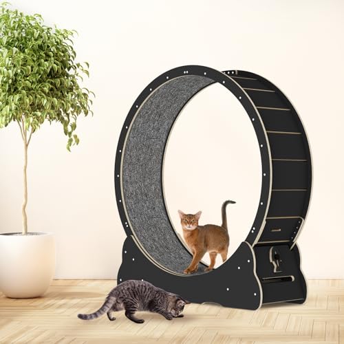 Cat Wheel, 35.4'' Cat Exercise Wheel for Indoor Cats with 2 Anti-Scratch Pads, Solid Wood Cat Wheel Exerciser for Walking, Running, Training, Cat Treadmill Fits for Most Indoor Cats (black)