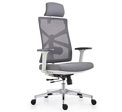 HOLLUDLE Chaise de Bureau Ergonomique avec Dossier Adaptable, Fauteuil D'ordinateur avec Accoudoirs 4D, Profondeur D'assise…