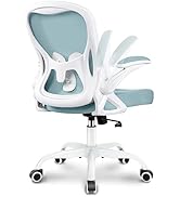 Winrise Office Chair Desk Chair, Ergonomic Mesh Computer Chair Home Office Desk Chairs, Swivel Ta...