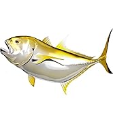 Jack Crevalle Beautiful Fish Decal | Fishing decal for Boat, Car, Vehicle, Truck Etc. | Waterproo...