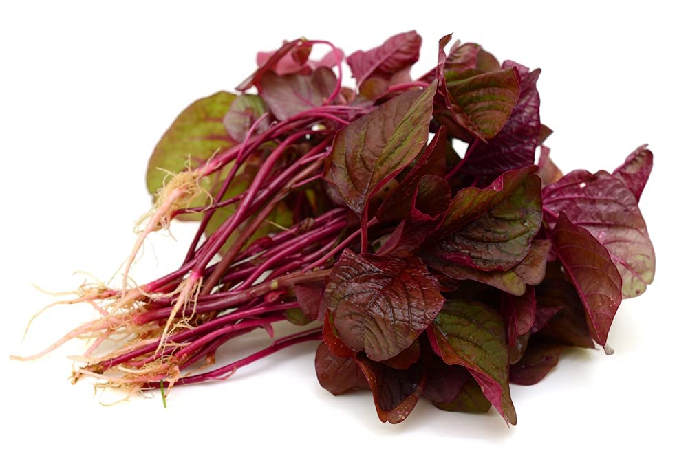 Red Spinach Seeds for Planting - 500+ Seeds - Ships from Iowa, USA. Very Healthy Chinese Amaranth Spinach