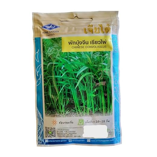 Generic Chinese Water Spinach Seeds 20g 420 Seeds, Green