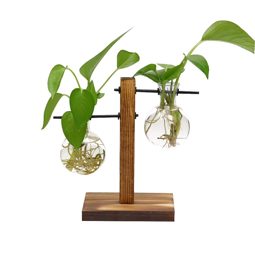 Chenyi Wooden Frame Hydroponics Delicate Vase Plant Terrarium Transparent Glass Vase Holder for Coffee Shop Room Decor