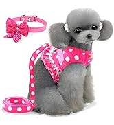 BARKLESS Cute Small Dog Harness, Ladies Polka Dots Dog Vest Harness Set with Pink Leash and Bowkn...