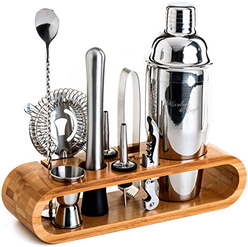 Mixology Bartender Kit: 10-Piece Bar Tool Set with Stylish Bamboo Stand | Perfect Home Bartending Kit and Martini Cocktail Shaker Set For an Awesome Drink Mixing Experience | Gifts for Dad (Silver)