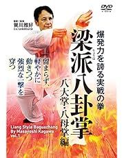 爆発力を誇る実戦の拳【梁派(りょうは)八卦掌】八大掌・八母掌編 [DVD]