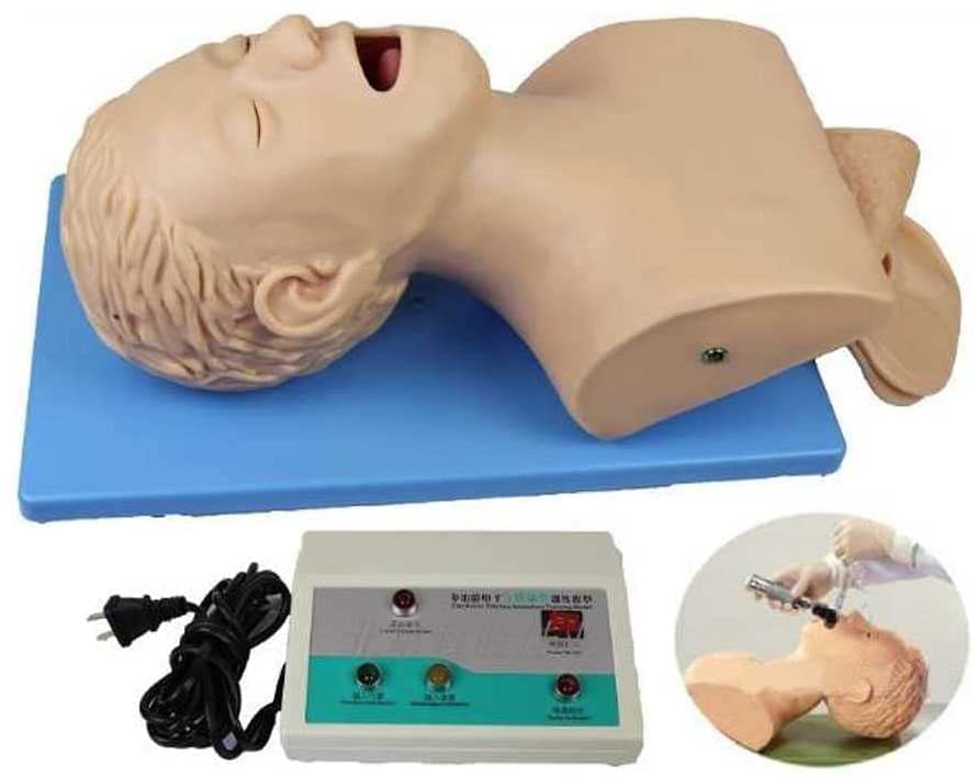 Buy PVC Adult Tracheal Intubation Training Simulator Model, Electronic ...