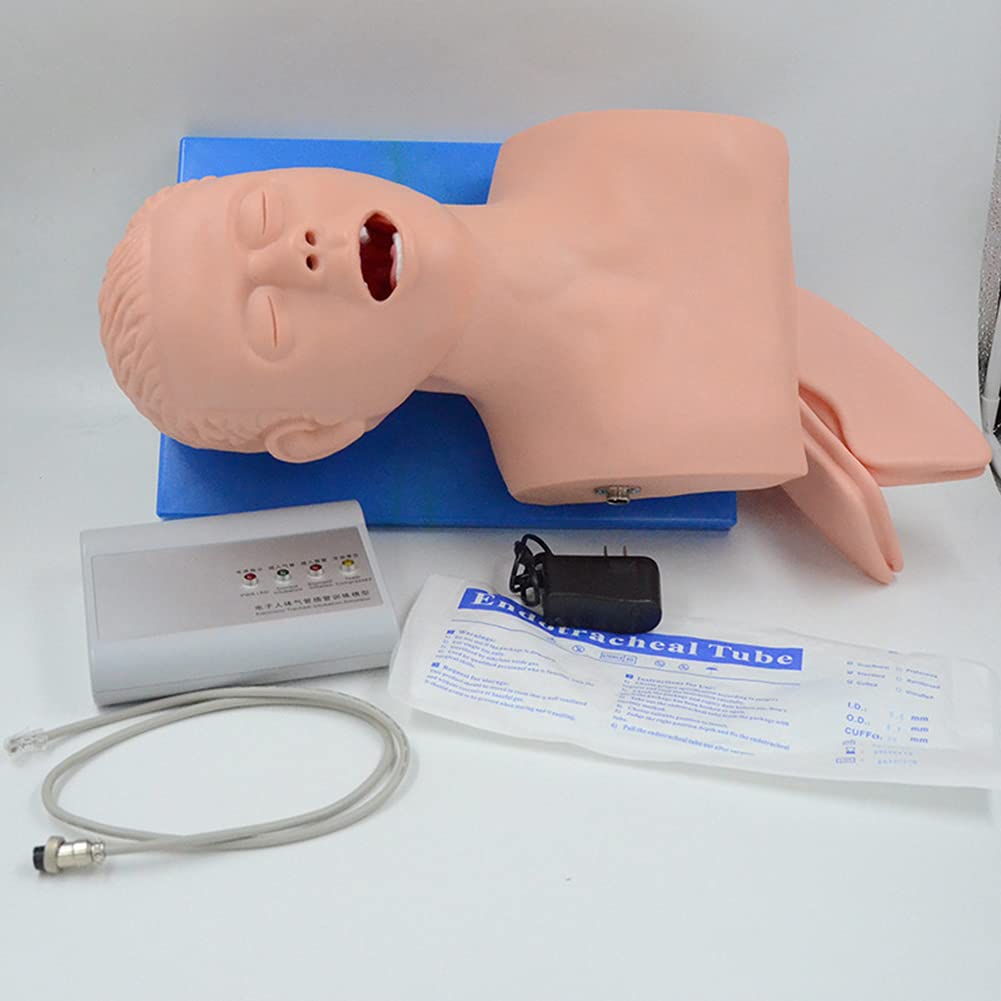 Buy Nlight Adult Intubation Manikin Teaching Model,Airway Management ...