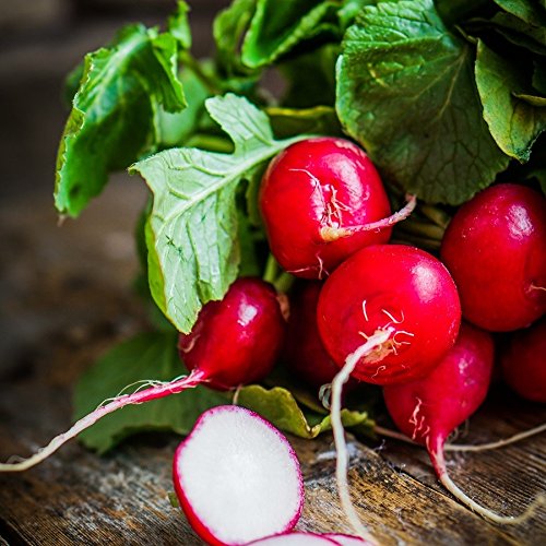 Gaea's Blessing Seeds - Radish Seeds (2.5g) Scarlet Globe Non-GMO Seeds with Easy to Follow Planting Instructions - Heirloom 90% Germination Rate