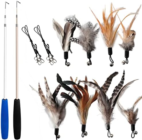 EcoCity Cat Toys - No Chemical Dyeing Cat Feather Toys for Indoor Cats - Include Cat Wand and Natural Feather Refills