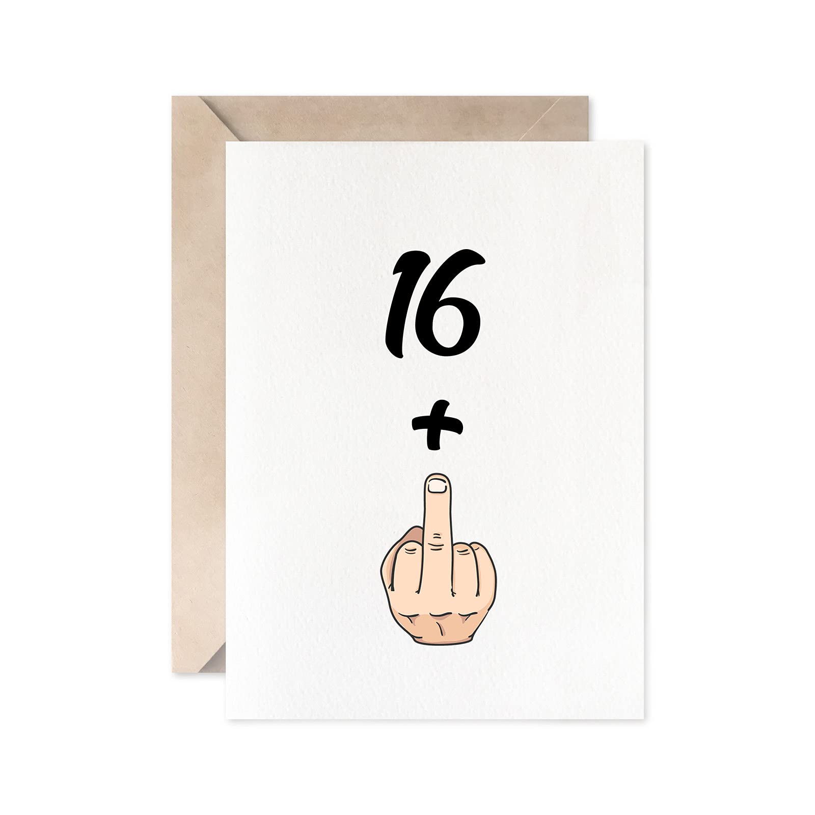 Amazon.com : Funny 17th Birthday Card, 16+1 Girl Or Boy Sweet 17 Years Old  Birthday Gift Joke Card : Office Products