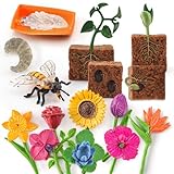 BRETOYIN 16PCS Life Cycle of Bee Figurines Plant Toy Flower Toys Set for Toddlers Age 3+ Educational Project Diorama Kids Toys for Preschool Children