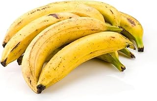 Seelans Yellow Plaintain | 10Picese | Banana | 100% Fresh Fruit | Indian Origin Next Day Shipping