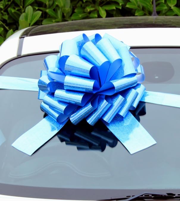 Hampabox MEGA GIANT CAR BOW (40cm diameter) + 6 METRES of RIBBON for ...