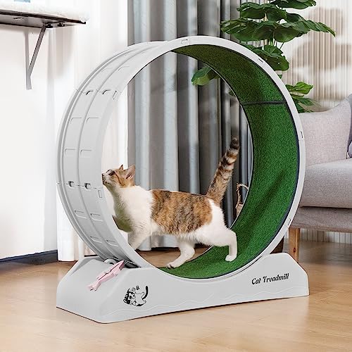 COZIVVOVV 31.5" Large Cat Treadmill, Cat Exercise Wheel with Locking Mechanism Nonslip Carpet Cat Teaser Running Wheel for Indoor Cats Small Animals, Gray