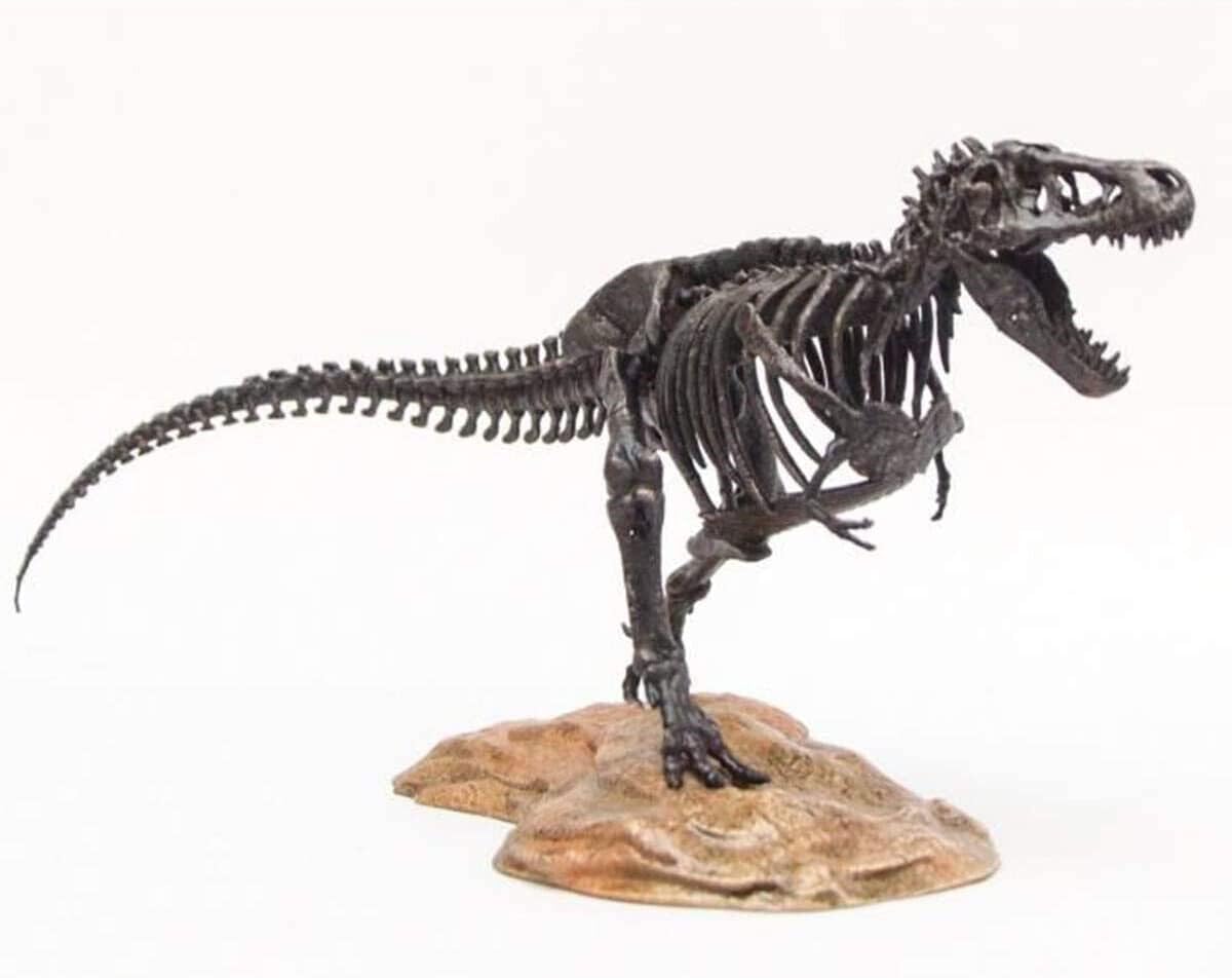 WLNTDOLA VWUVWU 1:72 Studio Tyrannosaurus Skeleton Model T-Rex Dinosaur Animal GK Decoration Gift