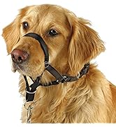 Soft Dog Head Collar, No Pull Training Tool for Small Medium Large Dogs on Walks, Gentle Training...