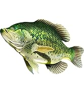 Crappie Beautiful Fish Decal | Fishing Decal for Boat, Car, Vehicle, Truck Etc. | Waterproof Viny...