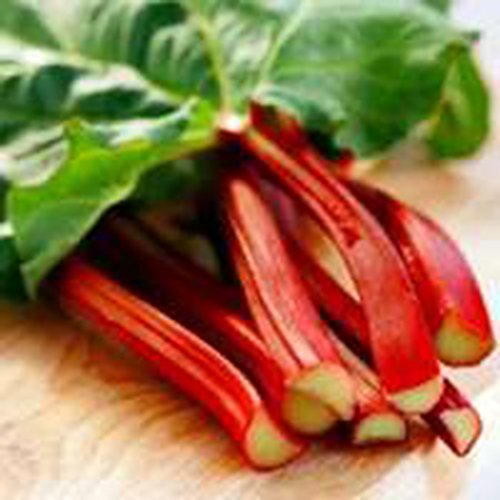 Rhubarb Canadian RED-(3) Live Plants-Organic Heirloom Hardy Fruit Plants