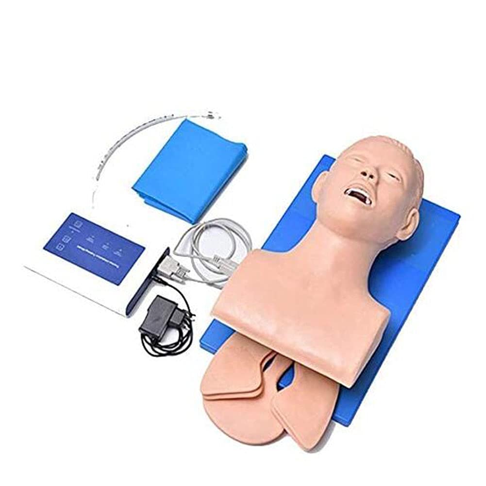 Buy TWFJEL PVC Adult Intubation Manikin Teaching Model, Airway ...