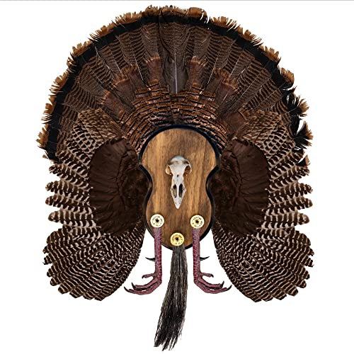 Show Off Your Thanksgiving Spirit With The Best Turkey Fan And Beard ...