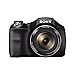 Sony DSCH300/B Digital Camera (Black)