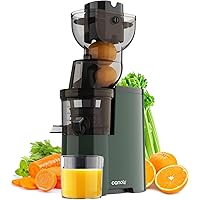 Canoly 300W Professional Slow Juicer with 3.5