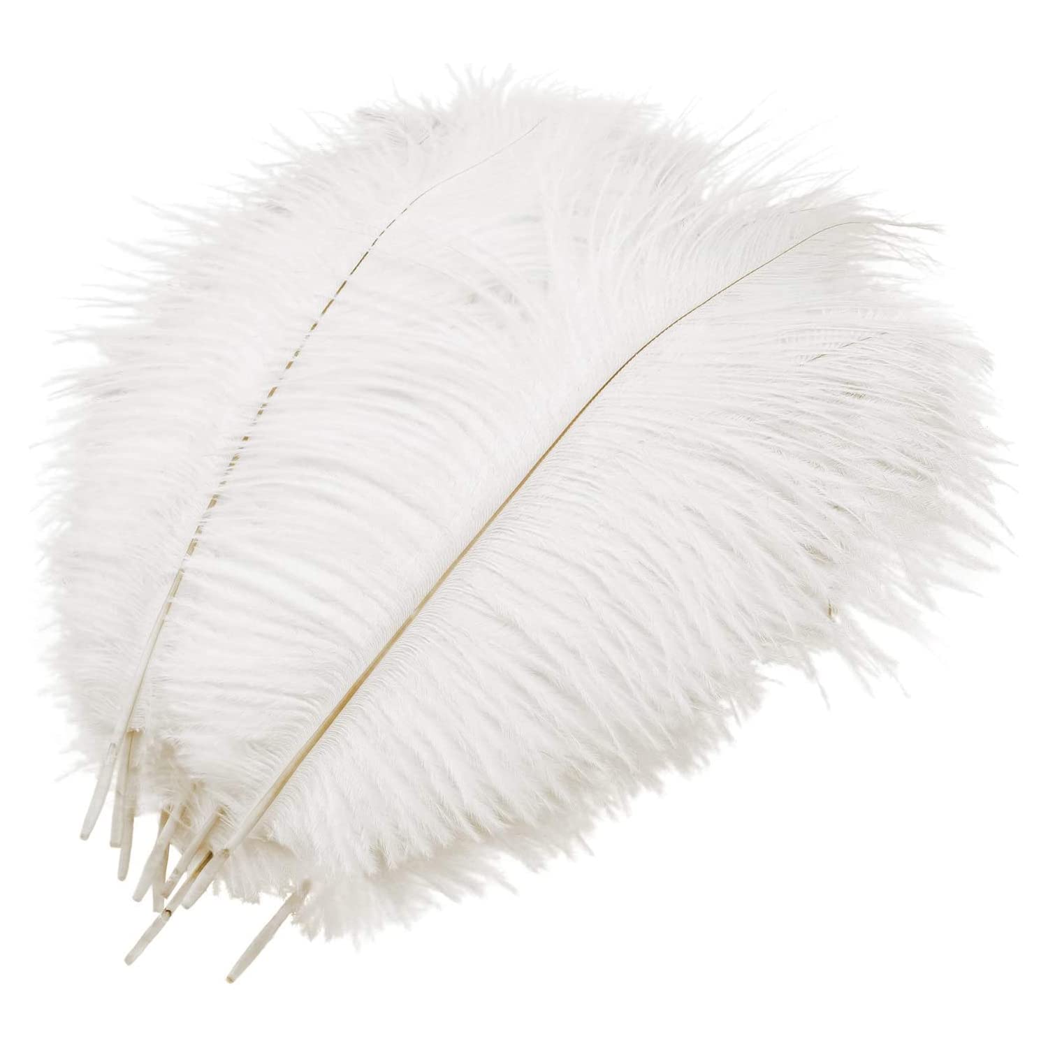 JZS Natural Ostrich Feathers, Crafts White Feathers, 12-14inch(30-35cm) for DIY Creation Gift Wrap Home Wedding Party Table Bookshelves Decorations, White 10pcs