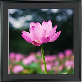 Mxtallup 18 x 18 in Diamond Painting Picture Frames 16x16in Diamond Art Frame , Display Pictures16x16 Inch/ 40x40 cm with ...