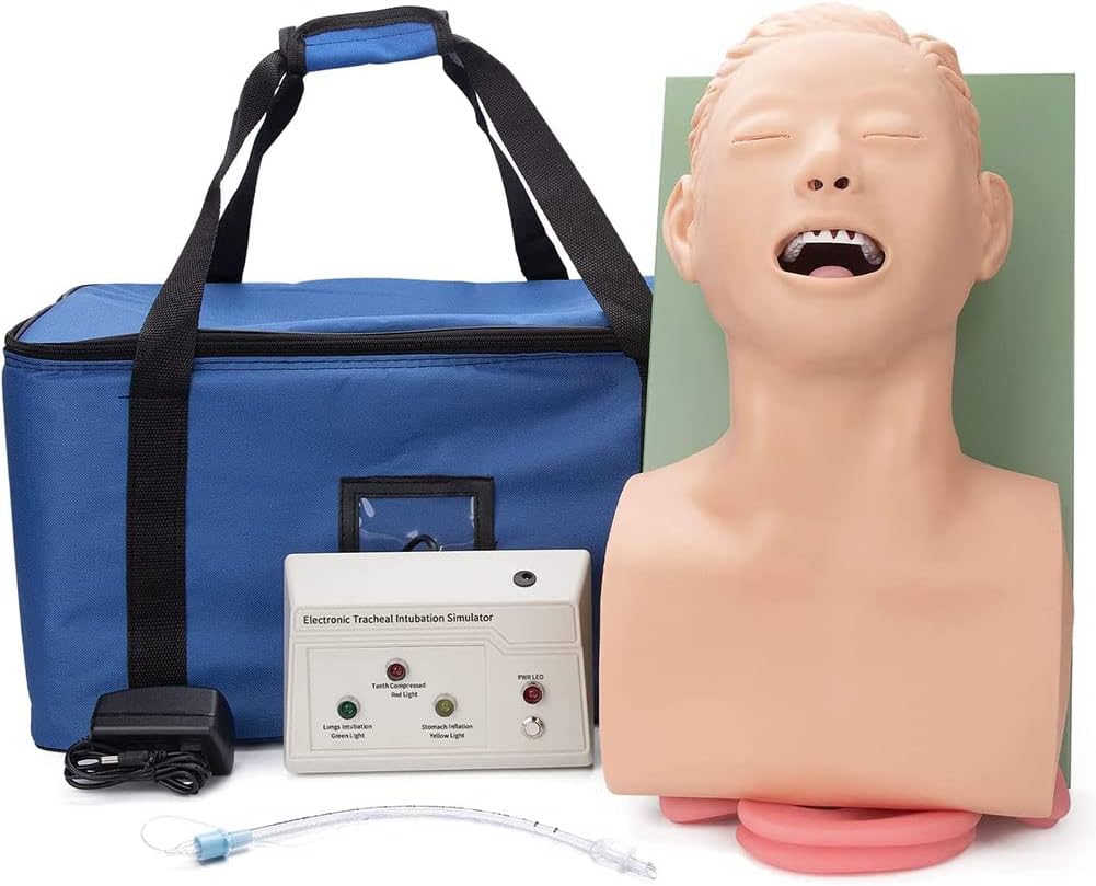 Amazon.com: Electronic Silicone Adult Intubation Manikin Model ...