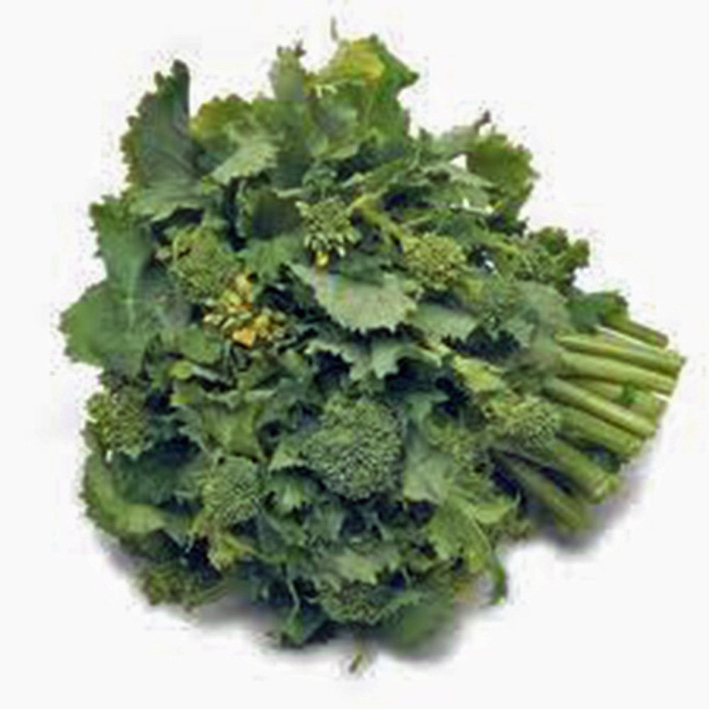 Broccoli Raab Seeds, Rapini, Heirloom, Non GMO, 100 Seeds, Delicious a Culinary Delight