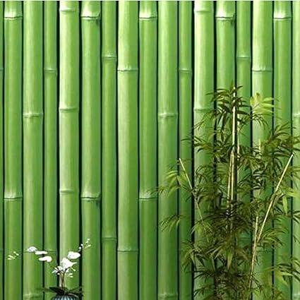 Univocean Green Bamboo Home Wallpaper, Self Adhesive Wall Decor PVC Vinyl  Stickers, 500 x 45 cm : : Home Improvement