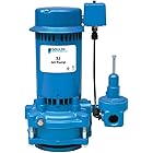 Goulds SJ10 1 HP Vertical Deep Well, Multi-Stage Jet Pump