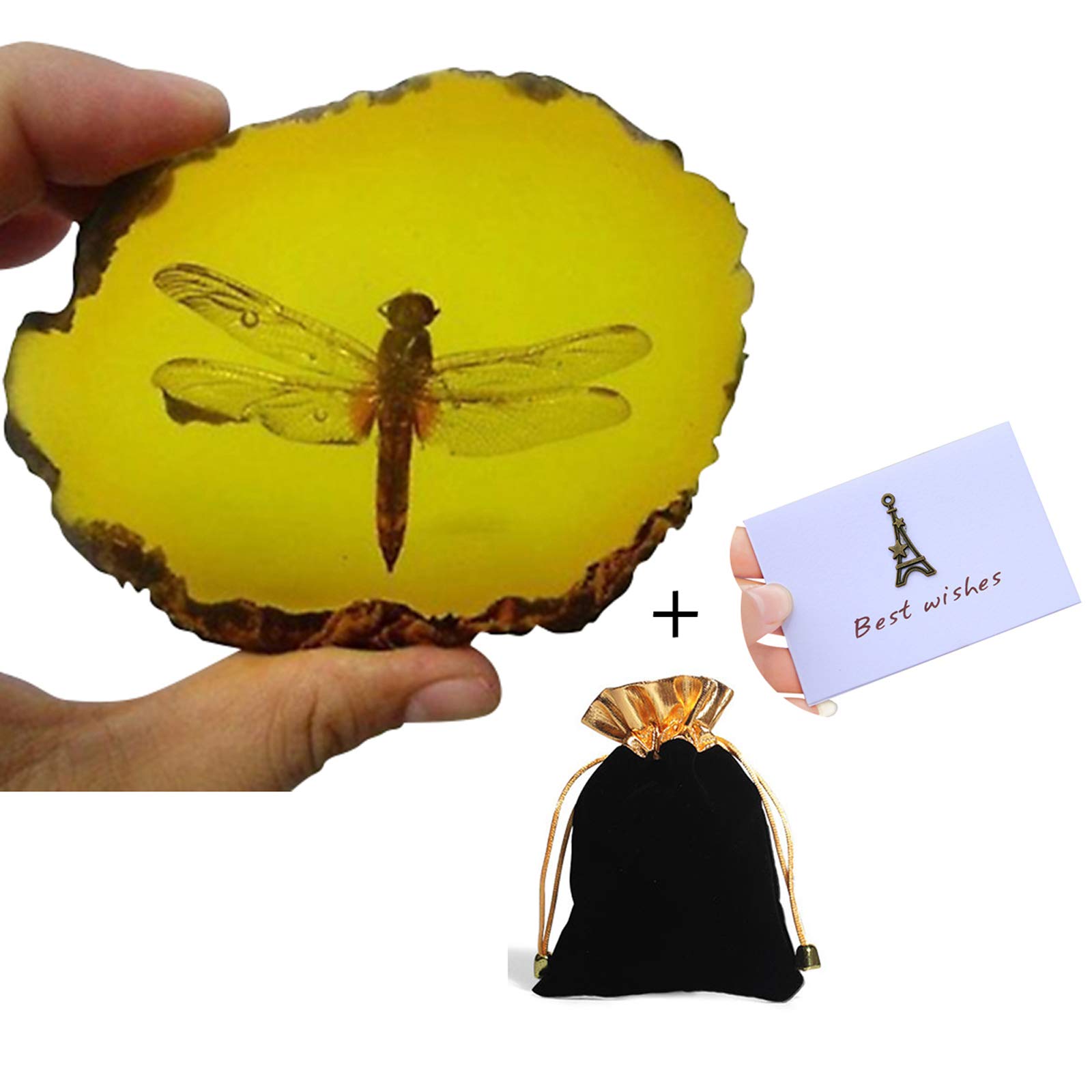 Prehistoric Insects In Amber