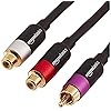 Amazon Basics RCA Y-Adapter Splitter with 2-Female on One End and 1-Male RCA Cable, Gold-Plated, Black, 12 Inches/30.4 cm