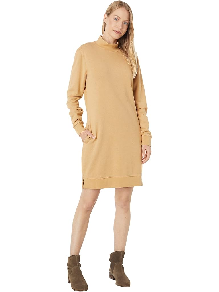 Toad&Co Epiq Mock Neck Dress