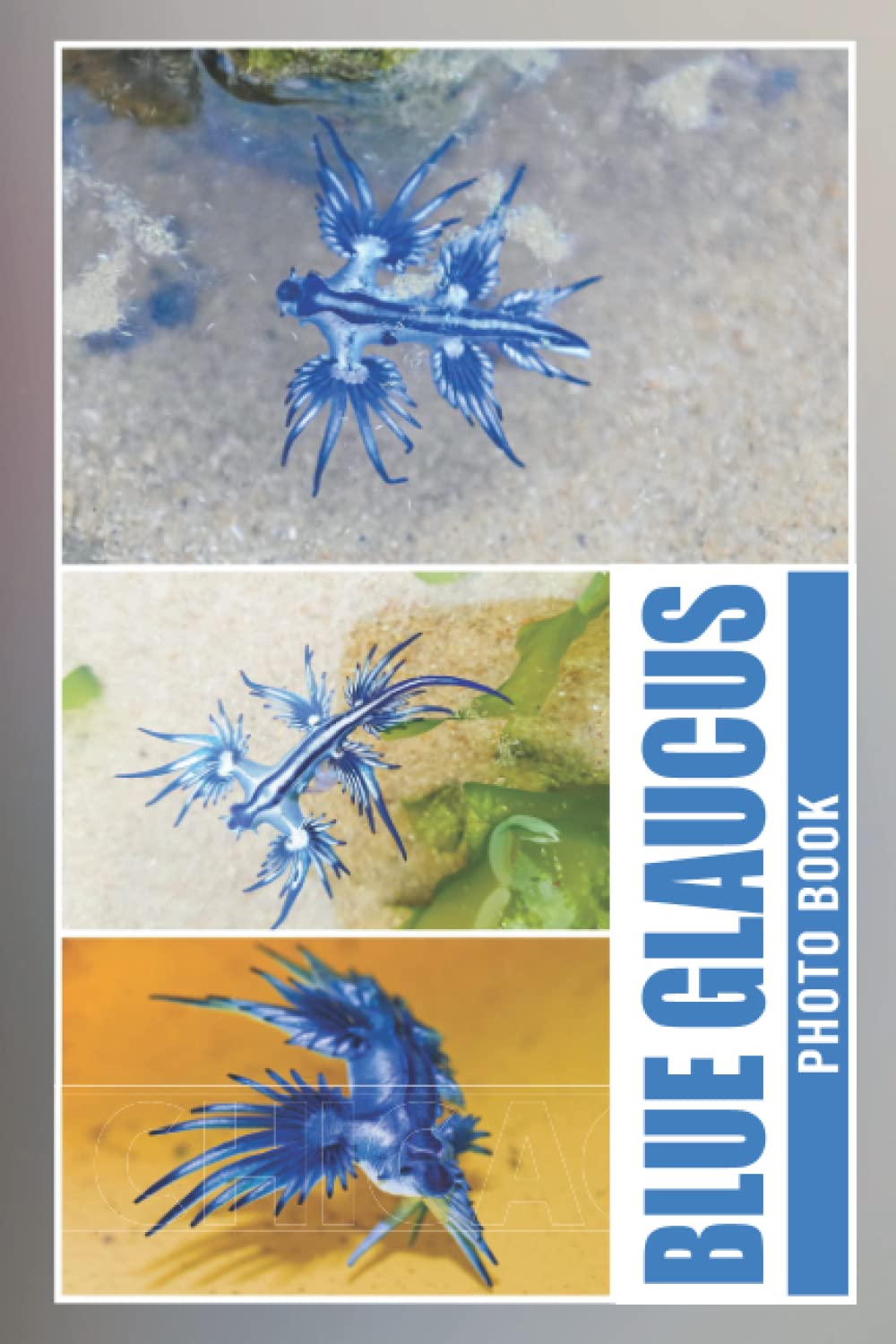 Blue Glaucus Photo Book: Amazing Colorful Photograph Album For All Ages To Unleash The Creativity Energy | Ideal Gift For Animal Lovers Paperback – 8 Dec. 2022