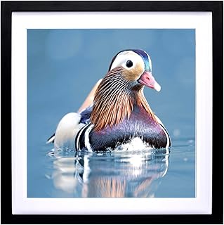 ZZFQXZ 18x18inch Diamond Painting Frame for Diamond Art Painting 16x16inch Display Pictures 16x16inch/40x40cm With Mat or ...