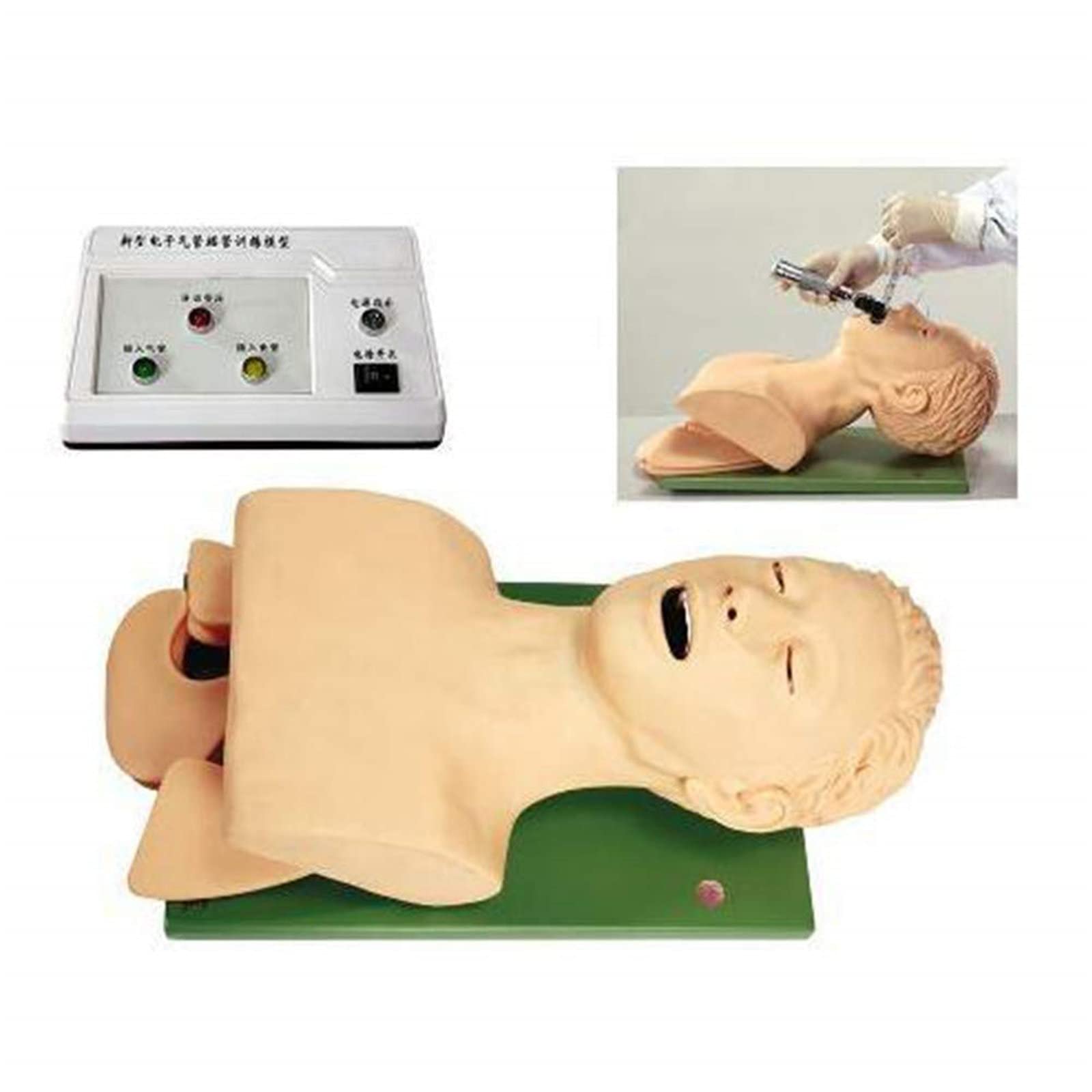 Buy JINTAOMA Adult Tracheal Intubation Training Simulator Model ...