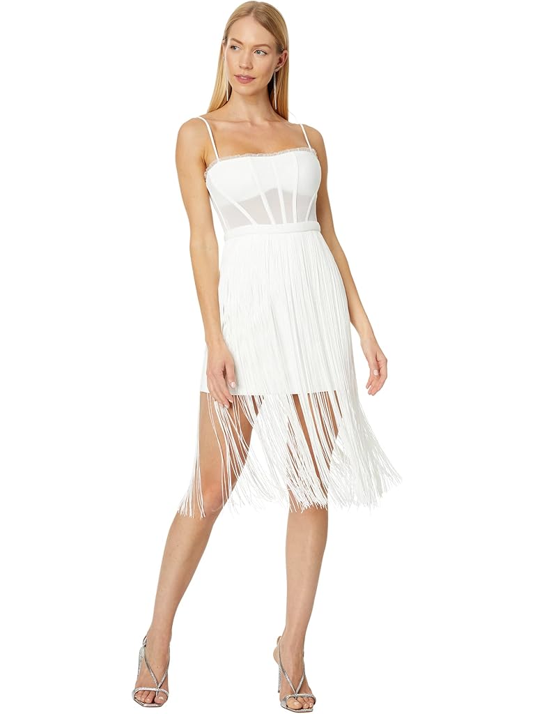 BCBGMAXAZRIA Corset Fringe Dress