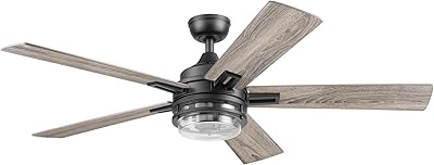 Honeywell Ceiling Fans Myers Park, 52 Inch Contemporary Indoor LED Ceiling Fan with Light, Remote Control, Dual Mounting Options, 5 Dual Finish Blades, Reversible Airflow - 51989-01 (Matte Black)