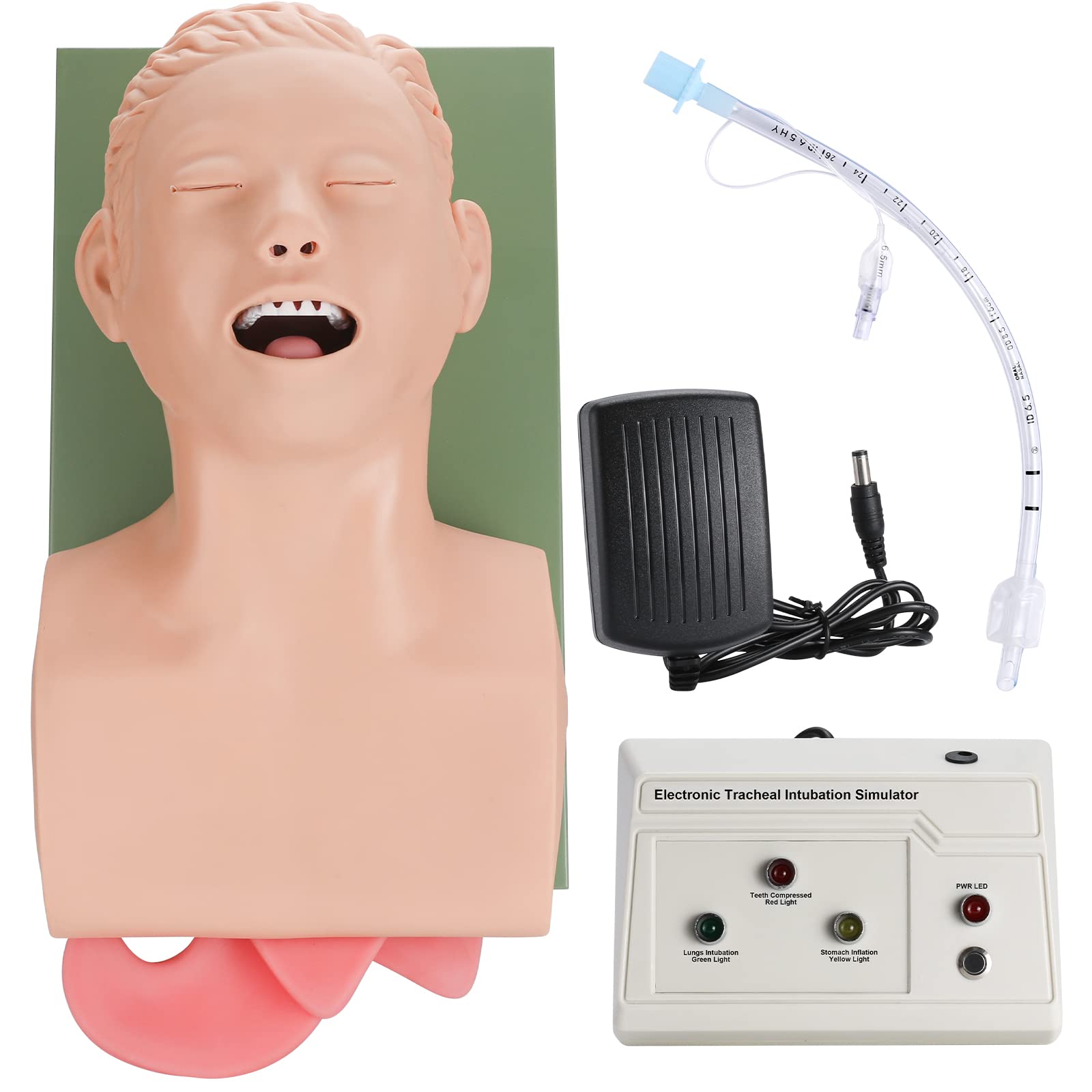 Buy ANNWAH tracheal Intubation Simulator Manikin- Airway managment ...