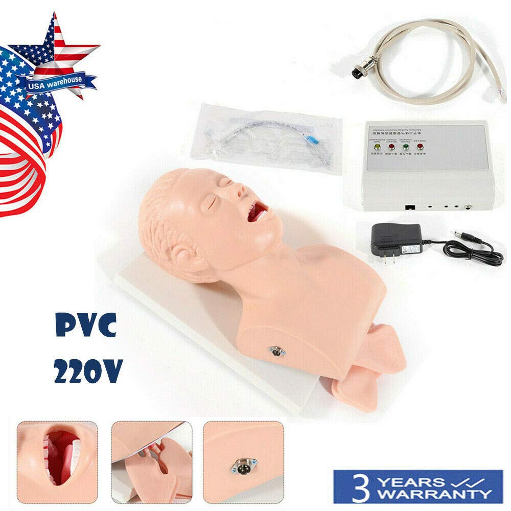 Buy Intubation Manikin, Teaching Airway Management Model Tracheal ...