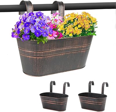 Sporgard 2 Pcs 12 Inches Metal Iron Hanging Flower Pots for Railing Fence, Balcony Garden Home Decoration Flower Holders with 2 Detachable Hooks, Countryside Style Window Flower Plant Holder