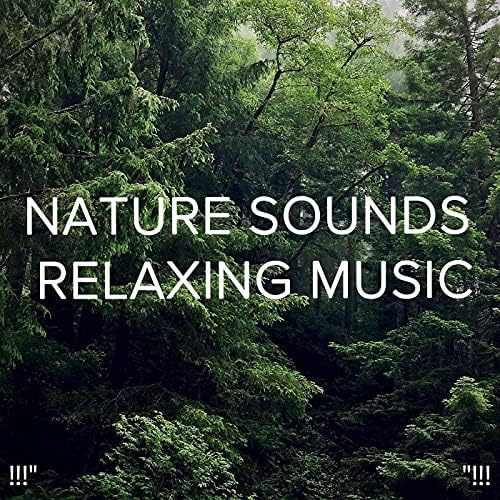 Deep Sleep, Sleep Sound Library & BodyHI