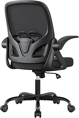 ORRSAKER Home Office Desk Chair with Supportive Lumbar Support and Flip up Arms, Breathable Double Mesh Ergonomic Home Desk Chair for Home or Work with Extended Height(Black)