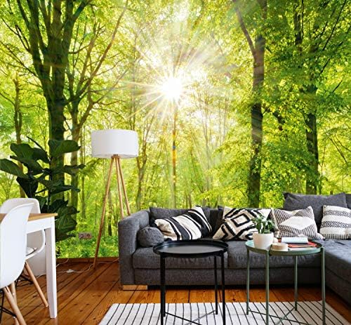 murimage Photo Wallpaper Forest 274 x 254 cm Including Paste Wall Mural ...