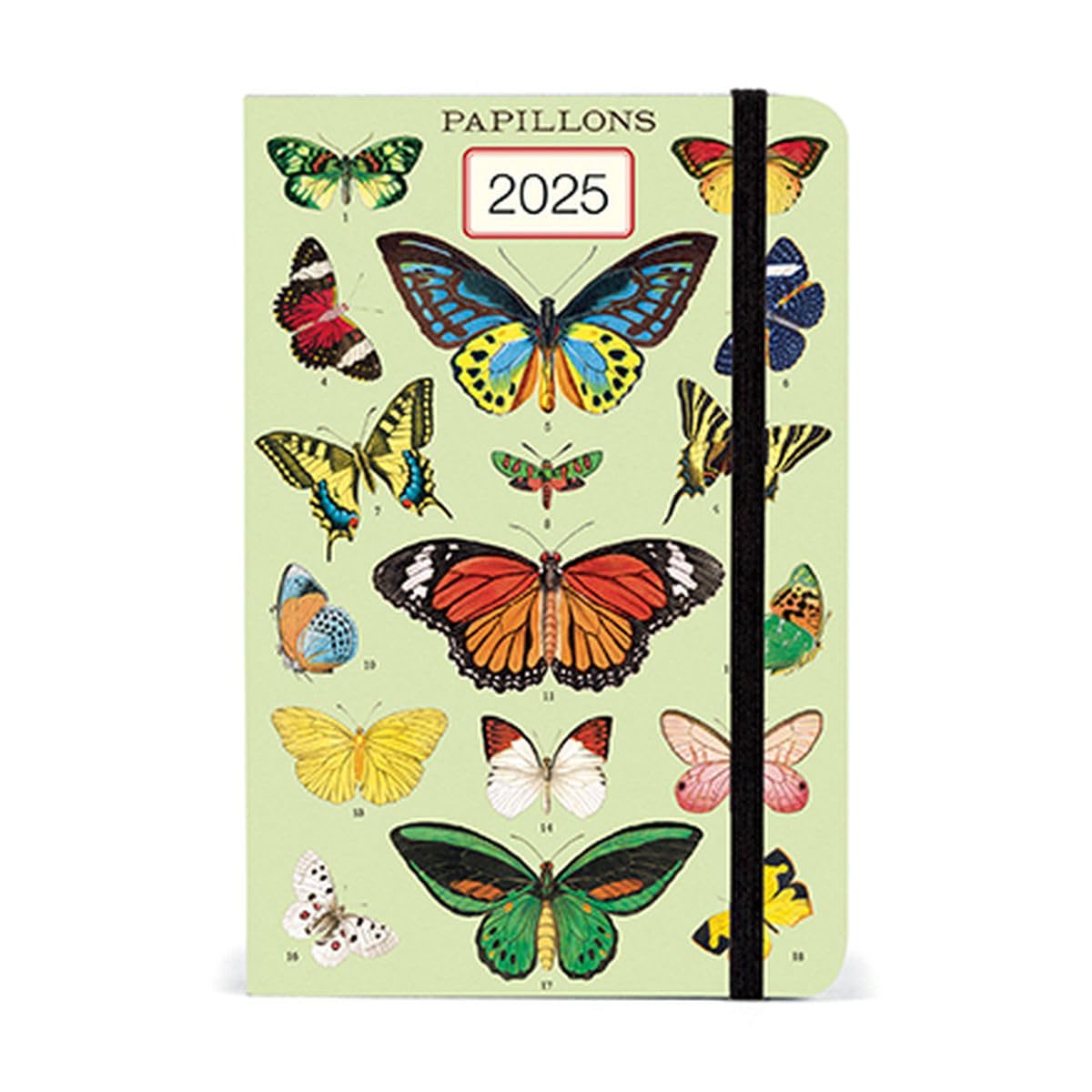 Cavallini& Co. Butterflies 2025 Pocket Weekly Planner, 4"x6"