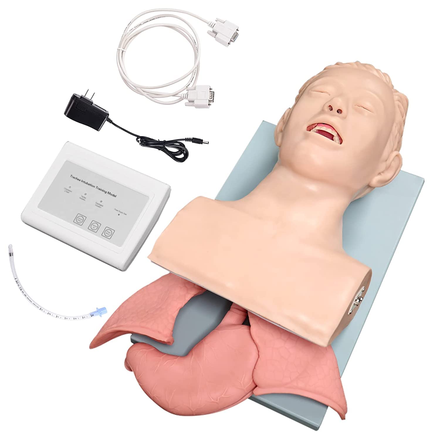 Buy Oral Nasal Intubation Airway Management Trainer Adult Intubation ...